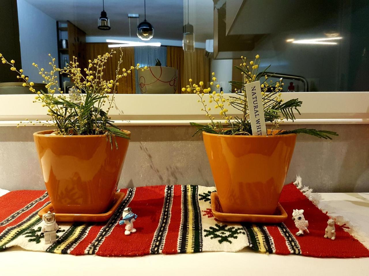 Leilighet Luxury Tiranë